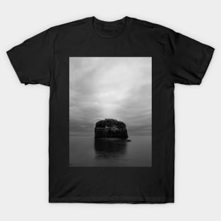 The Mystery of Pokeshaw Rock, New Brunswick Canada V4 T-Shirt